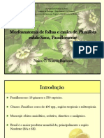 Download Morfoanatomia de folhas e caules de Passiflora edulis by Naira Soares SN77810218 doc pdf