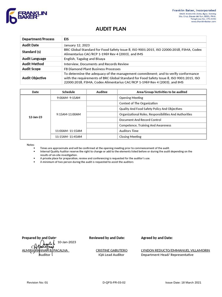 Audit Plan - EIS | PDF