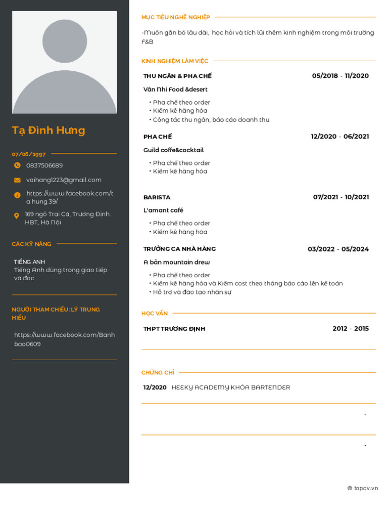 CV T Đình Hưng - ád-TopCV - VN | PDF