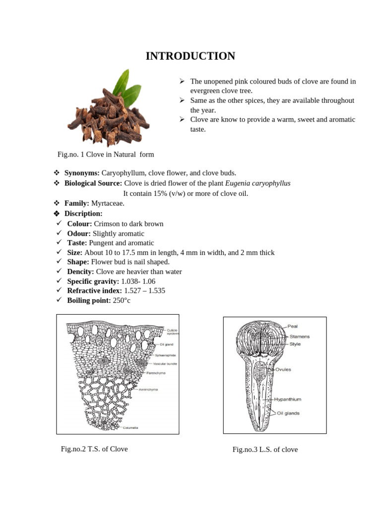 Clove: Properties, Extraction, and Uses | PDF | Clove | Acetic Acid