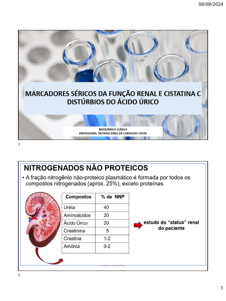 Aula 5 Marcadores Função Renal | PDF