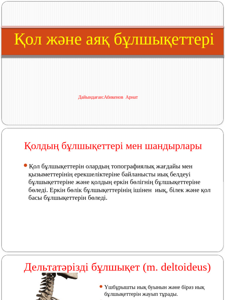 Олар үйдің фотоларын сорып алады