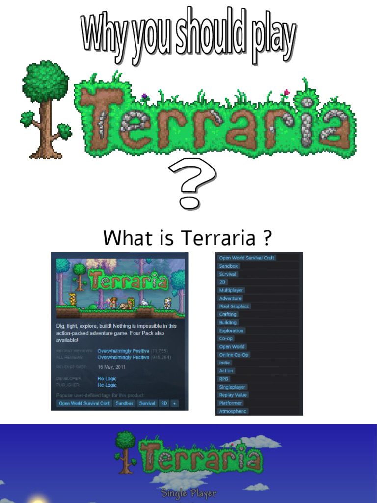 Why You Should Play Terraria | PDF