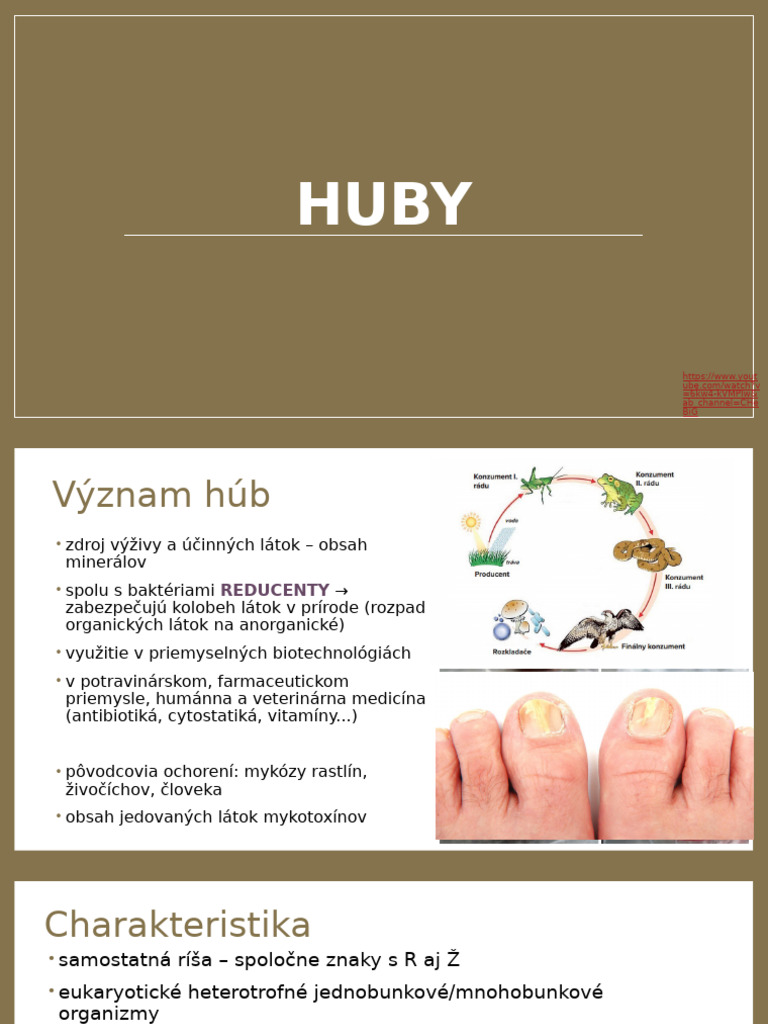 Huby | PDF