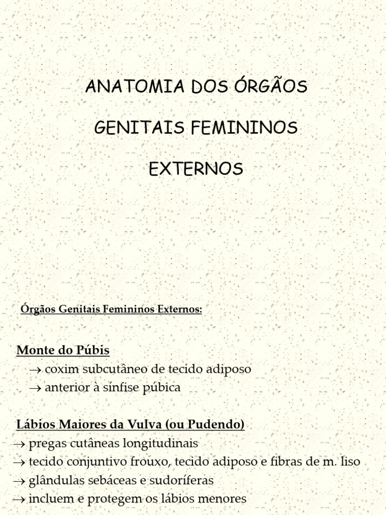 Anatomia Dos Órgãos Genitais Femininos Externos | PDF | Vagina | Bem-estar