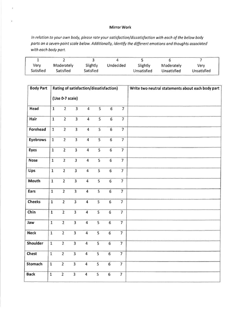 Mirror Work Assessment | PDF