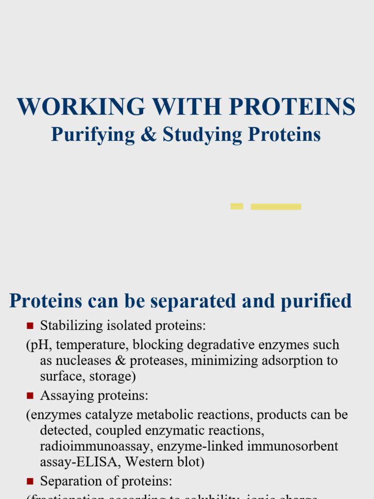 Working With Proteins | PDF