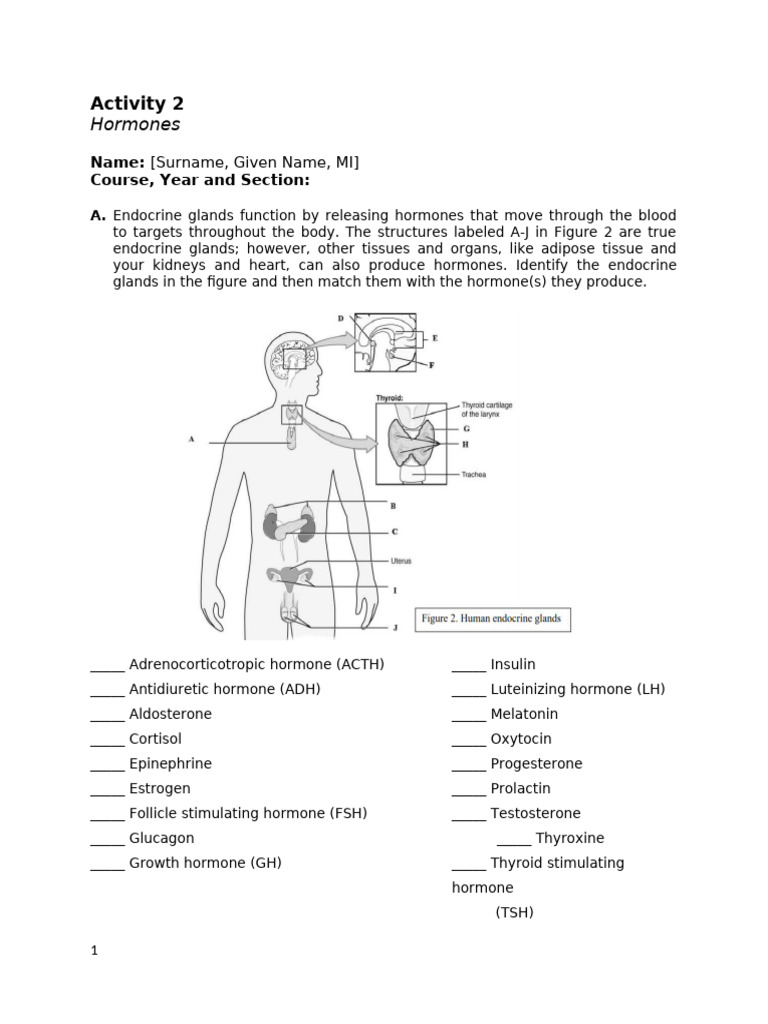 MST 101c Activity 2 | PDF