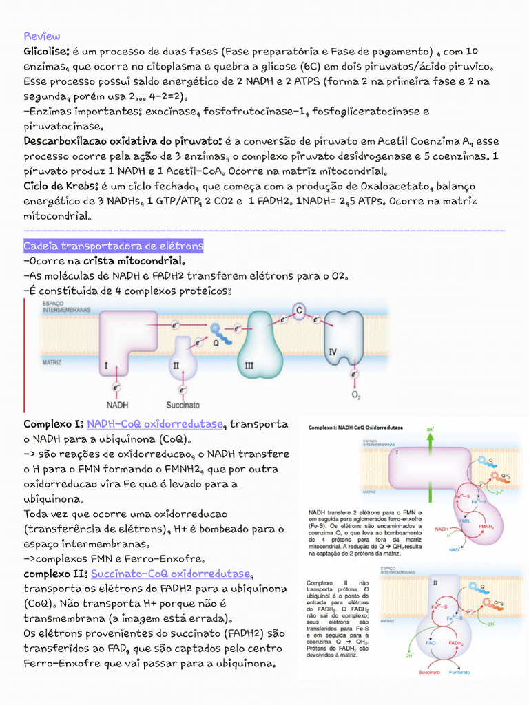 Aula 3 | PDF
