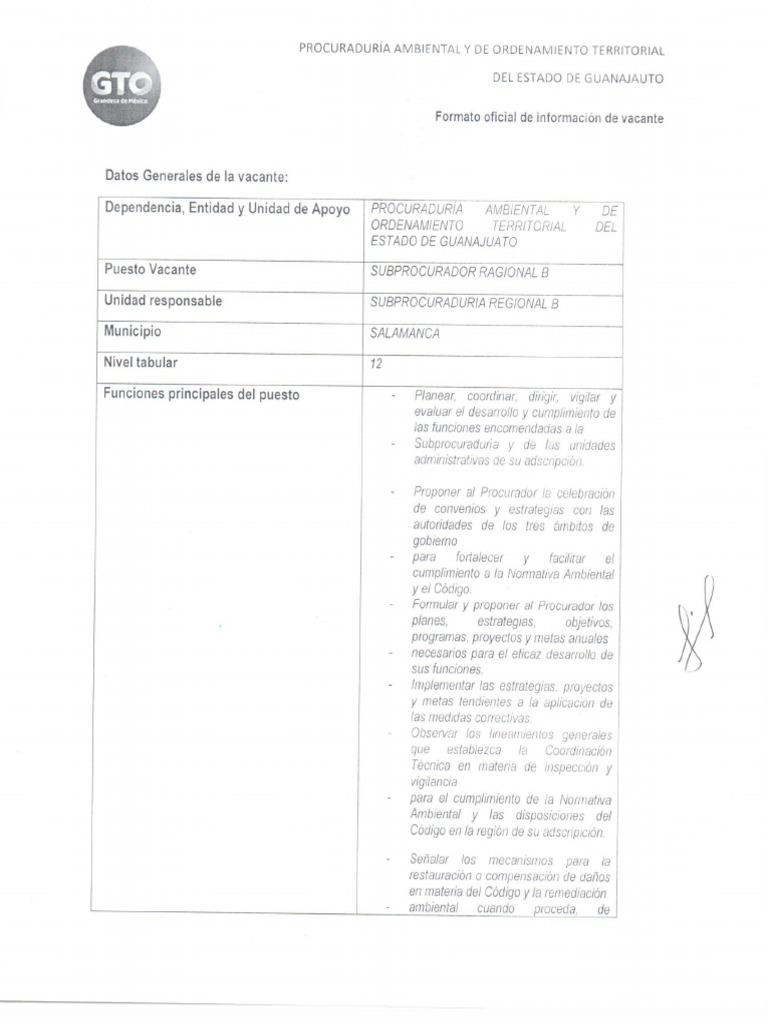 Formato Oficial de Informaciooìn de Solicitante | PDF