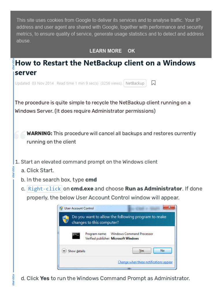 Restart The NetBackup Client On A Windows Server | PDF