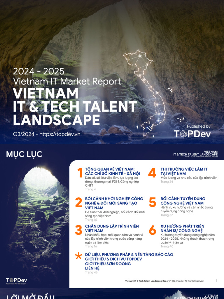 Vietnam IT Market Report 2024 2025 | PDF