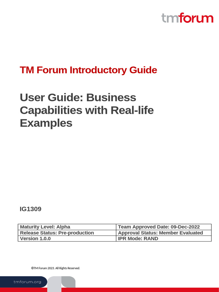 IG1309 User Guide Business Capabilities With Real Life Examples v1.0 | PDF
