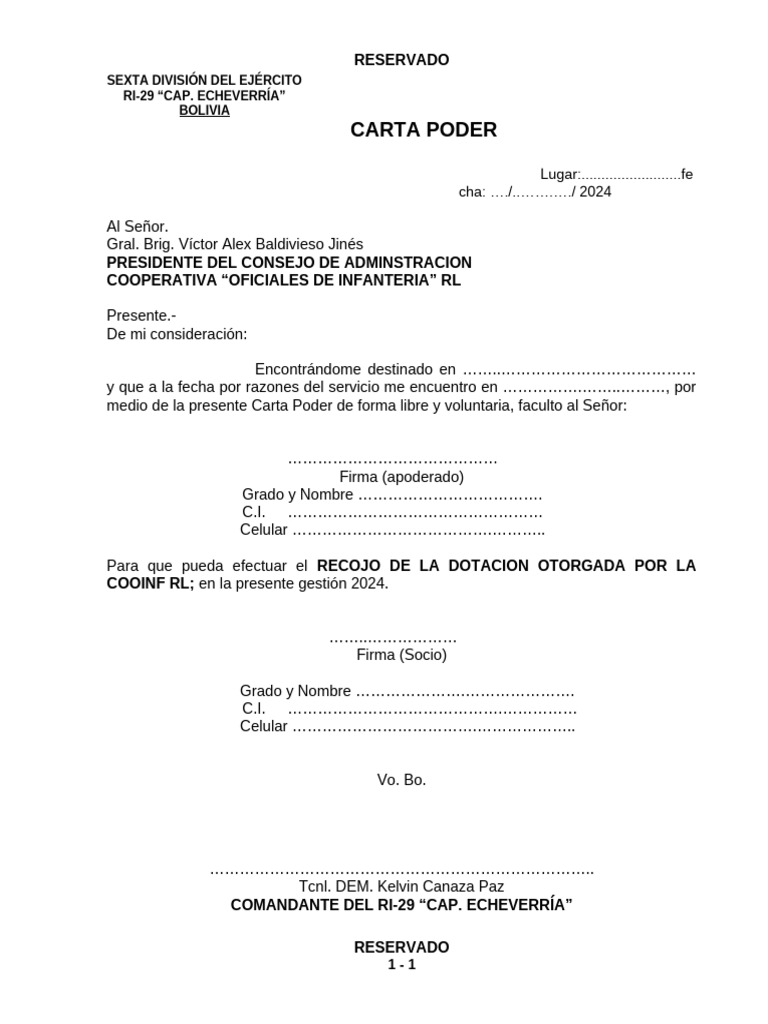 3.-Formato Carta Poder | PDF