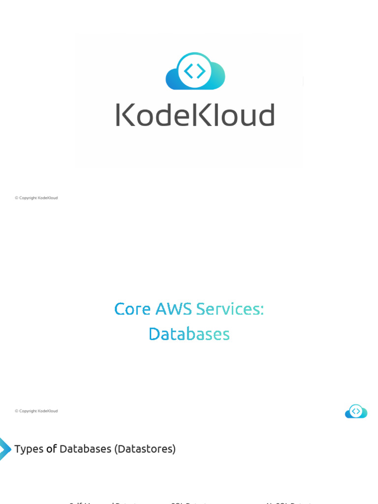 050 Aws Cloud Practitioner Pdf