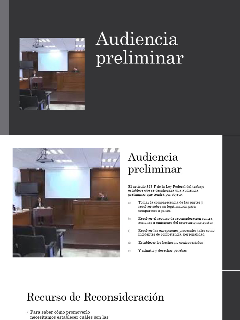 Audiencia Preliminar y de Juicio PDF Testigo Crecimiento personal