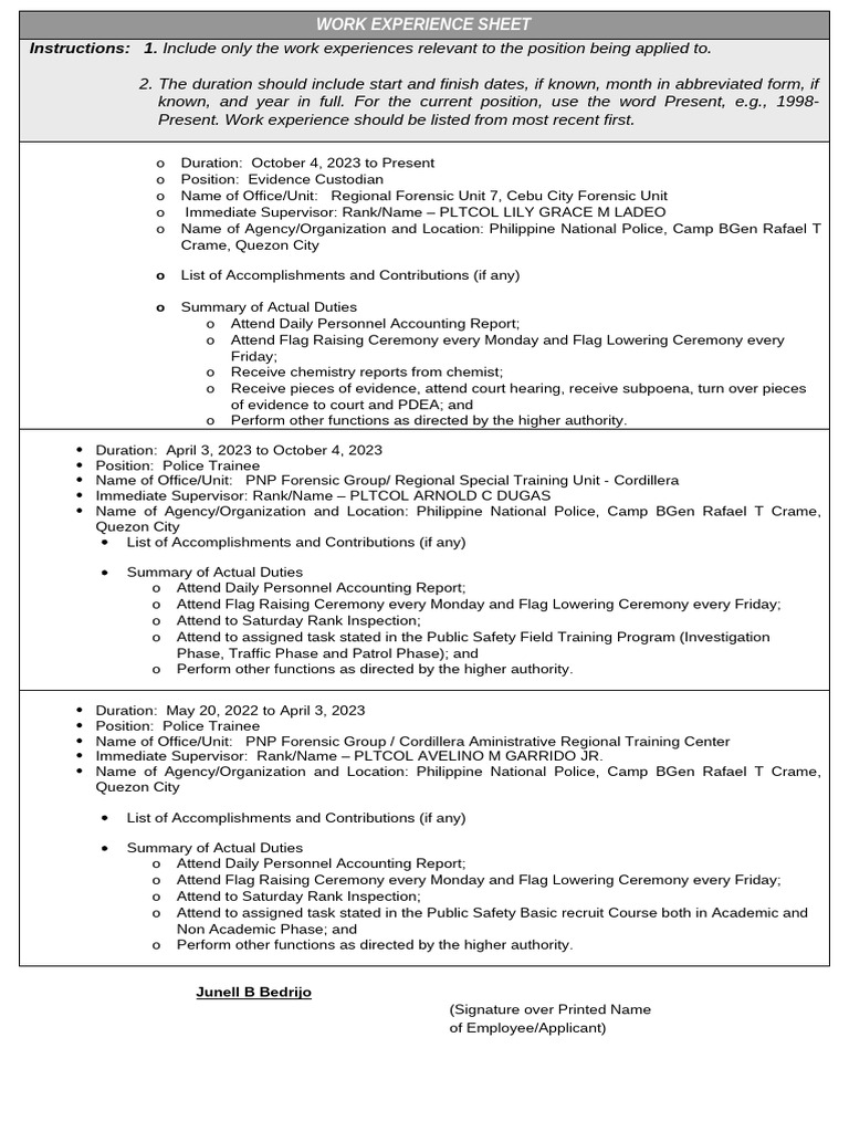 Work Experience Sheet Sample Perm | PDF