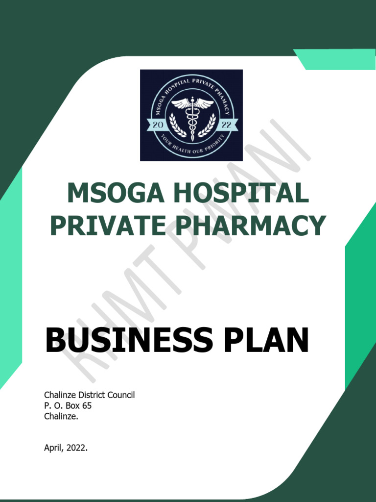 Business Plan DRF | PDF