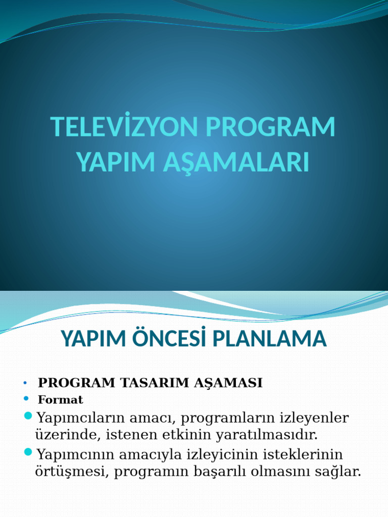 Program Yapim Aşamalari Ve Bütçe | PDF