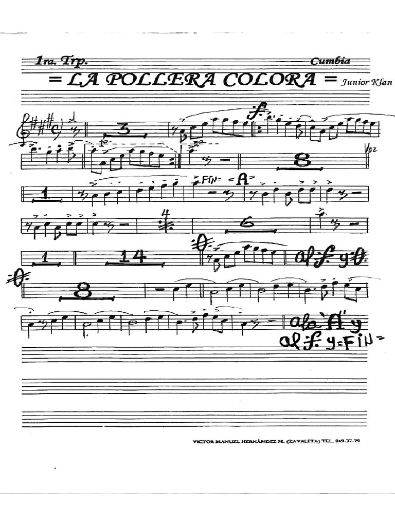 La Pollera Trompeta | PDF