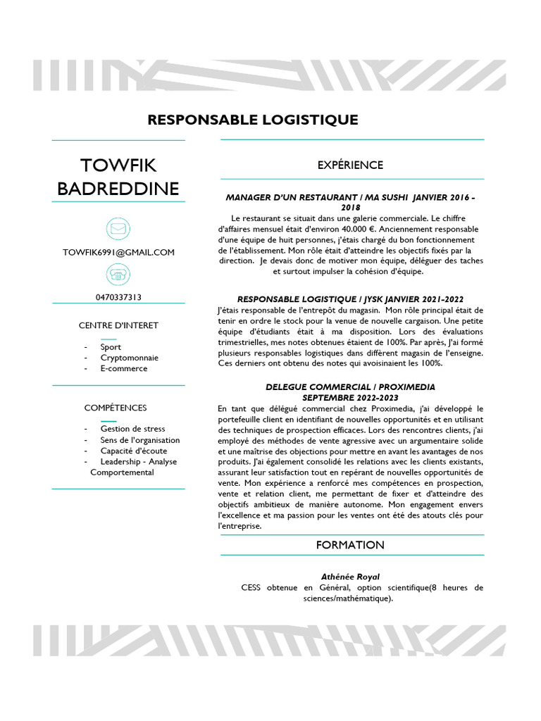 Cv. R.L | PDF
