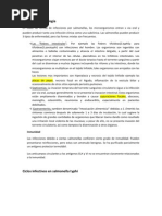 Download Patogenia y patologa salmonella by Grimaneza Figueroa SN77841343 doc pdf