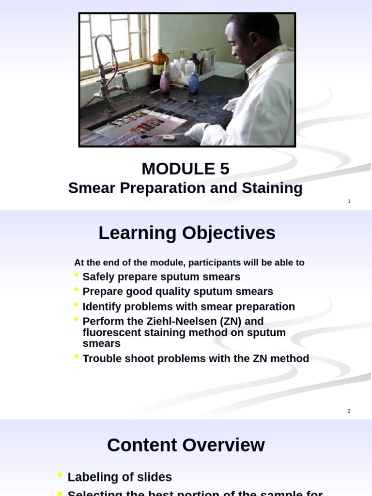 Acid-Fast Staining Procedure Steps | PDF | Staining | Histology