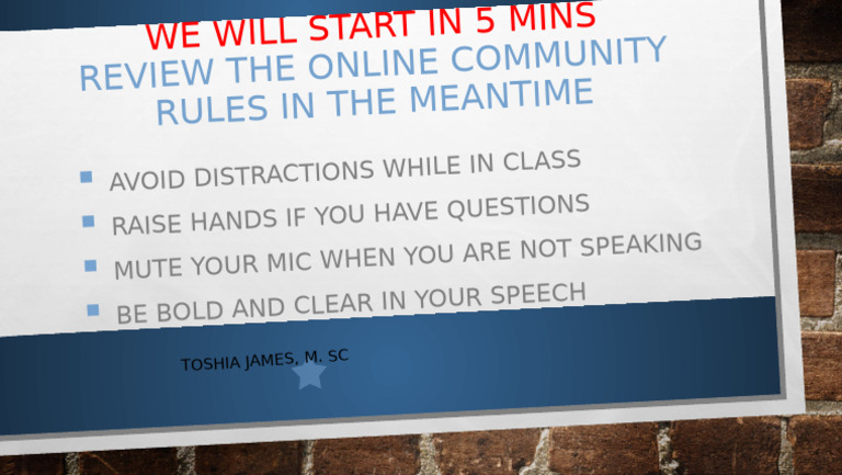 Online Community Rules SLIDE | PDF