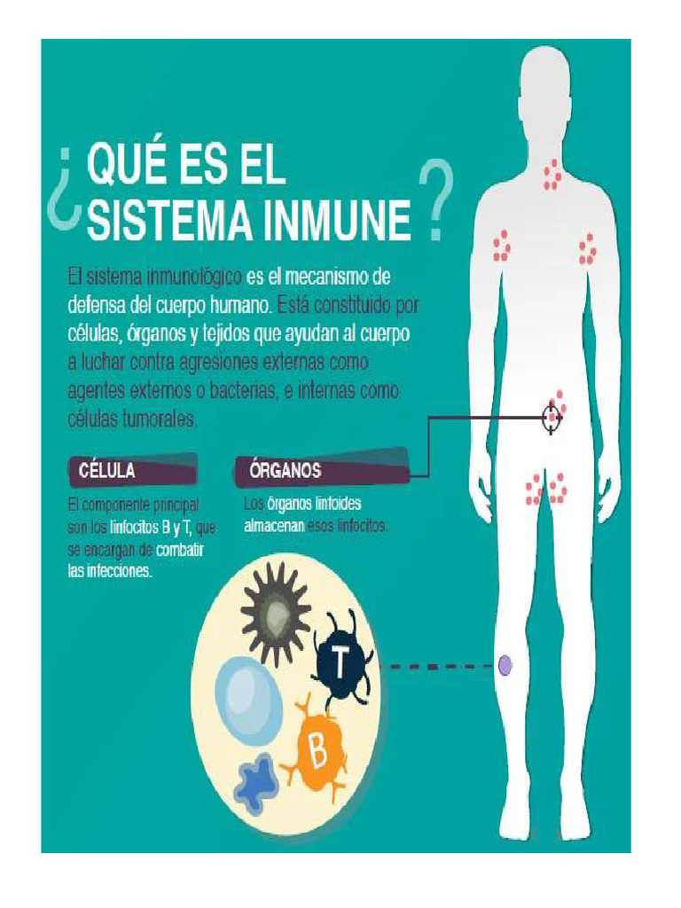 Sistema Inmunitario | PDF