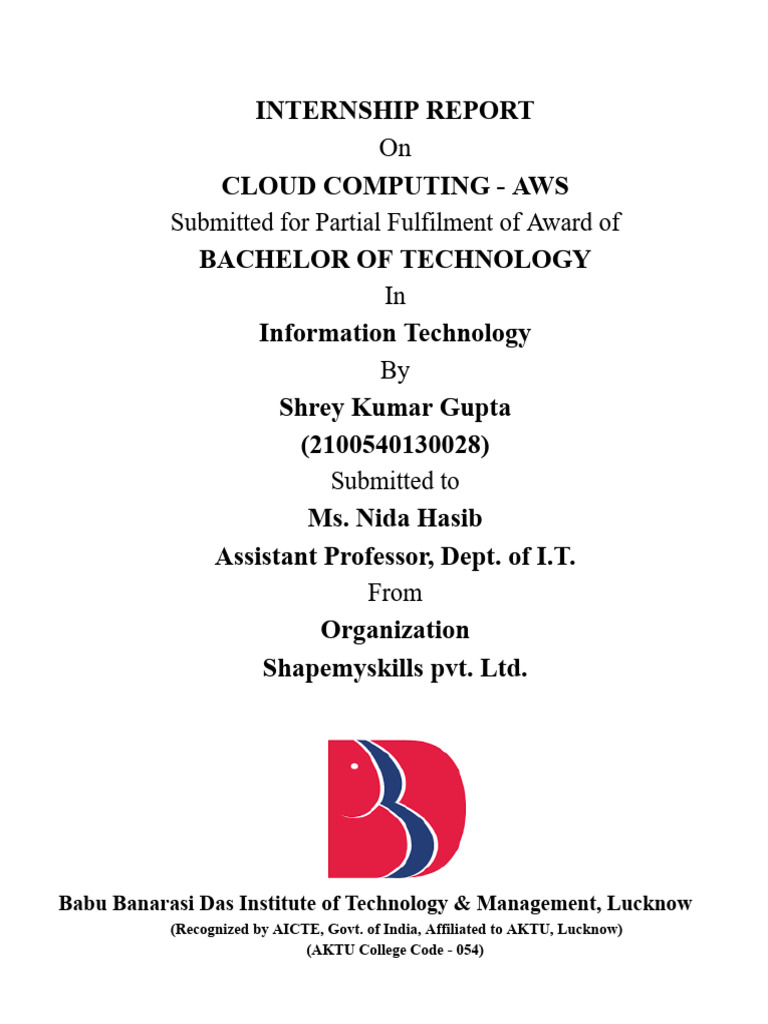 Report | PDF