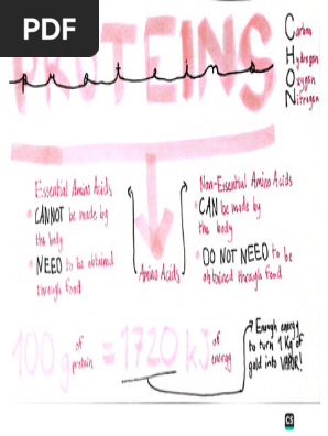 Index Card
