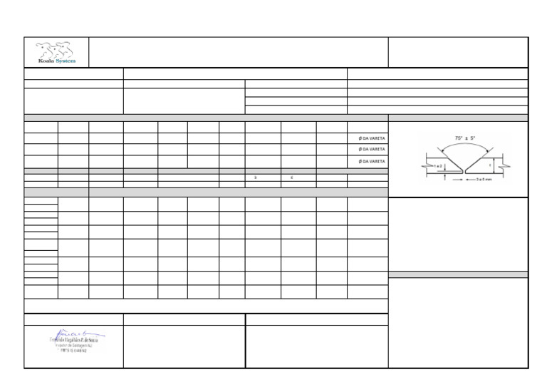 IEIS Experimental 1 | PDF