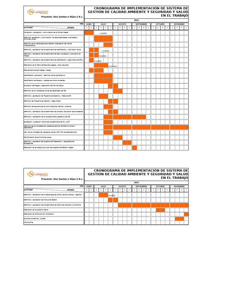 Cronograma Implementación SGI 17jun10 | PDF
