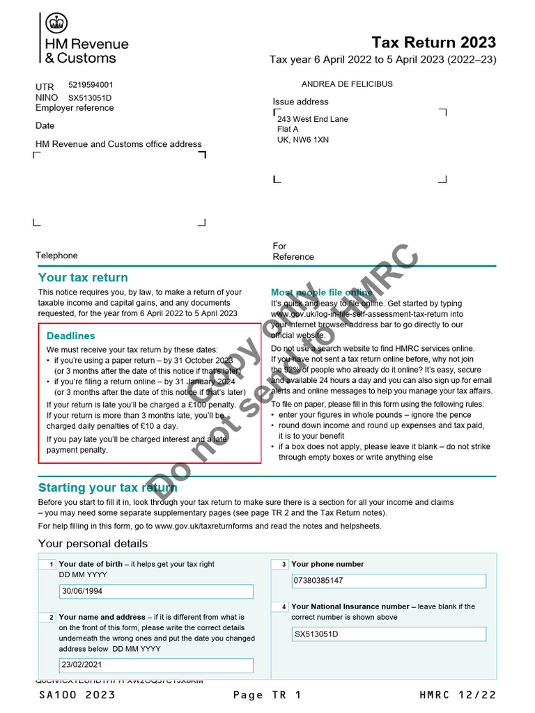 View Tax Return PDF | PDF
