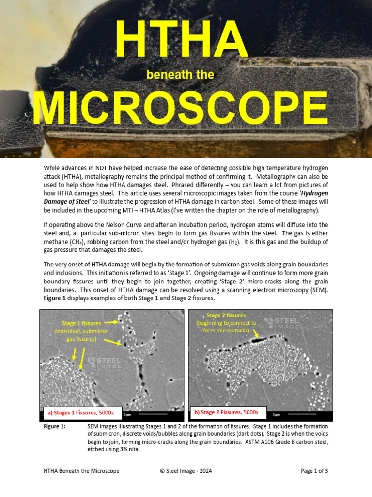 HTHA Beneath The Microscope | PDF