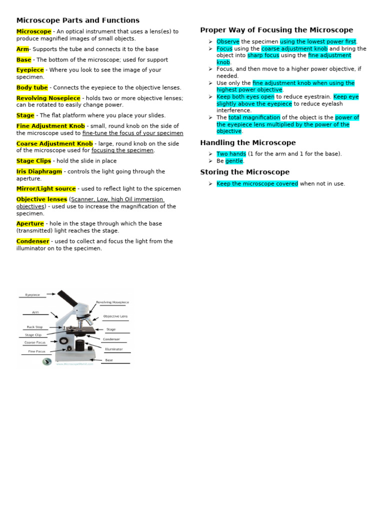 Microscope Parts and Functions | PDF