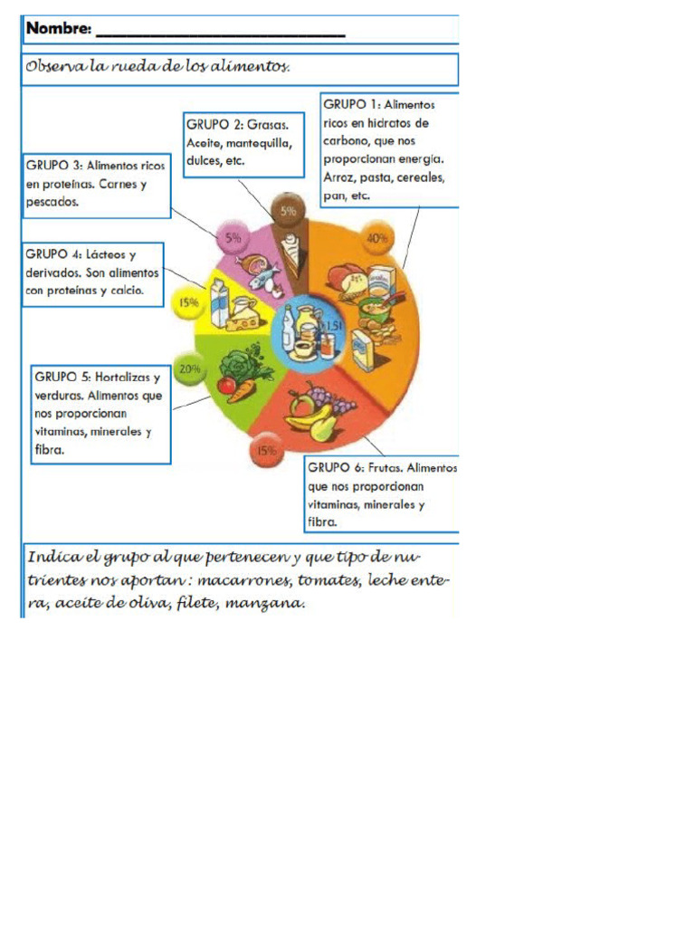 Grupos De Alimentos Pdf