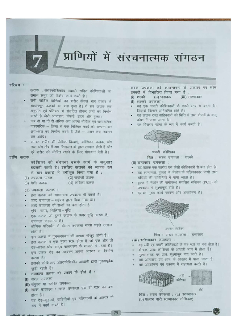 ORGANIC CHEMISTRY NOTES PDF FREE DOWNLOAD FOR NEET 2020 intelligence overview
