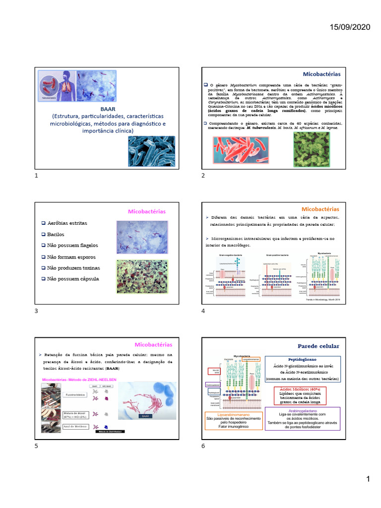Ba Are Strut e Partic | PDF