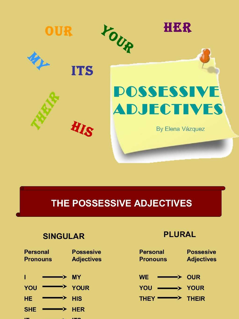 Possessive adjectives pdf