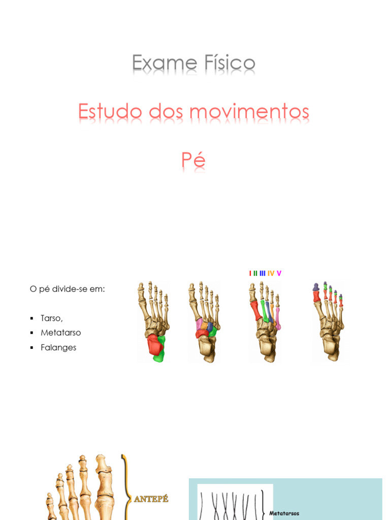 Exame Físico: Estudo Dos Movimentos Pé | PDF