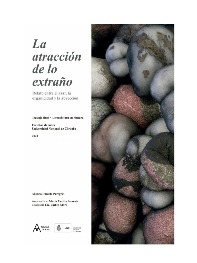 La Atracción de Lo Extraño | PDF