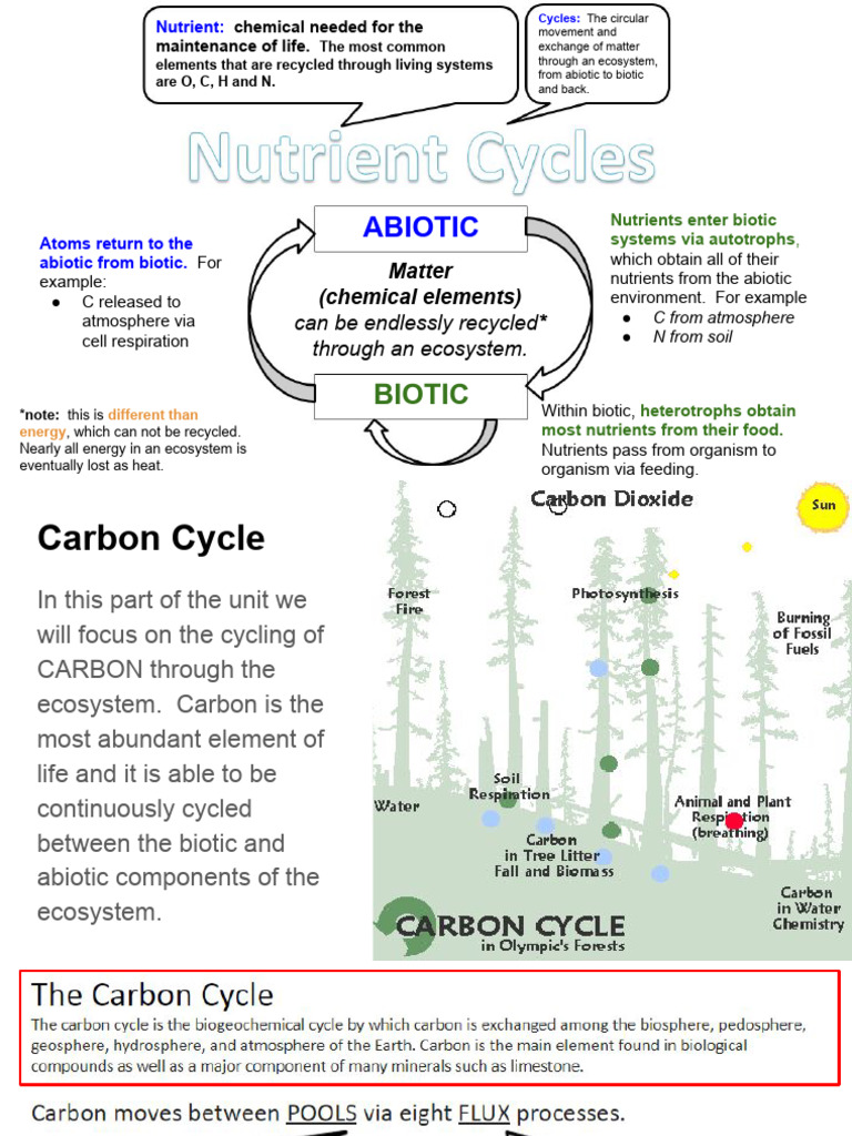Carbon Cycle - Pools and Flux Notes | PDF | Carbon Cycle | Ecosystem