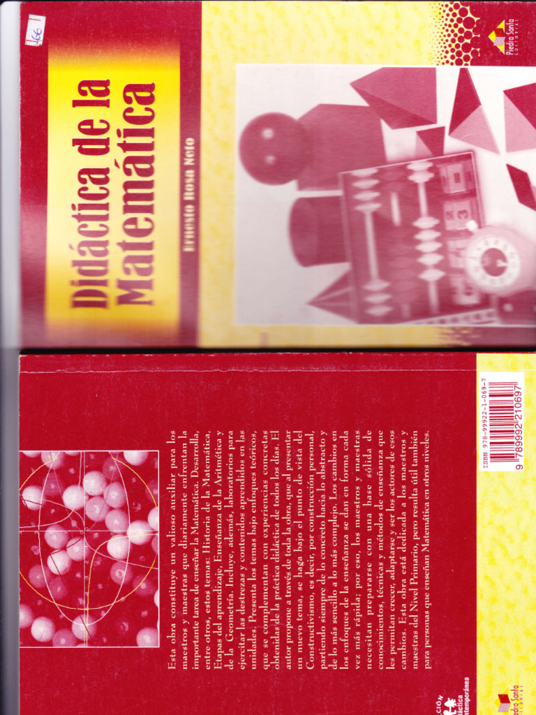 Didactica de La Matematica | PDF