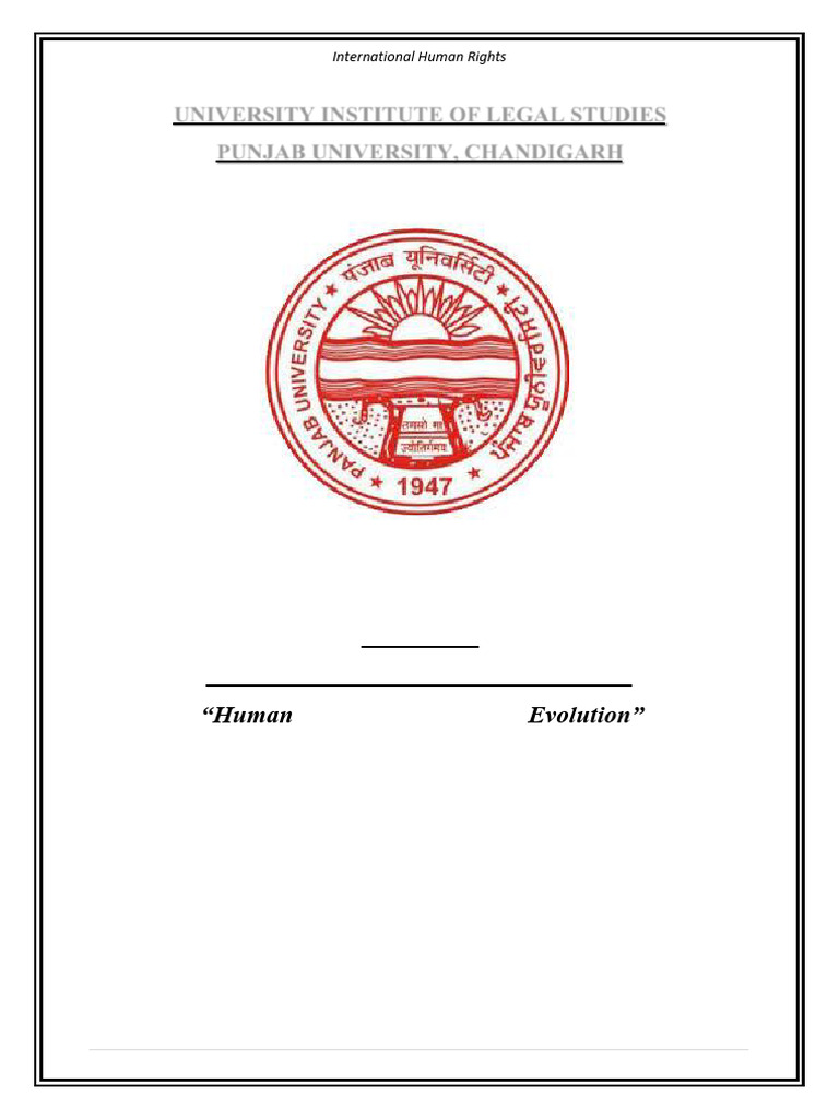 Human Rights Project | PDF
