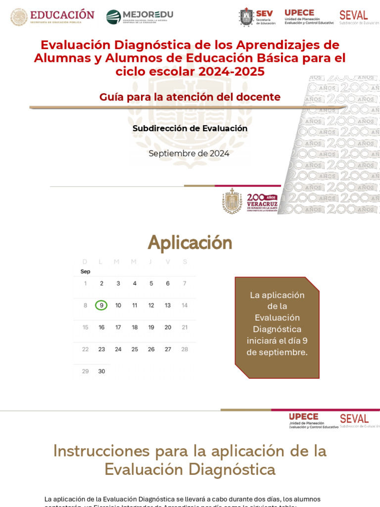 Guia para El Docente en La Evaluación Diagnóstica 2024-2025 | PDF