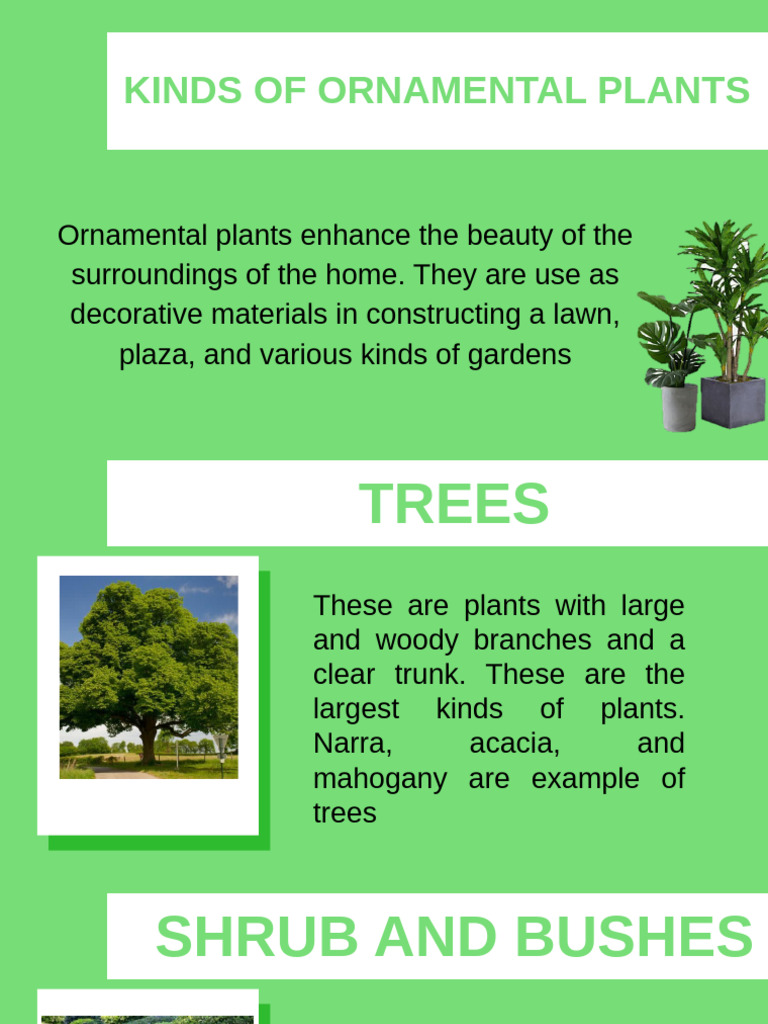 EPP 3 Week 1&2 (Kinds of Ornamental Plants) | PDF