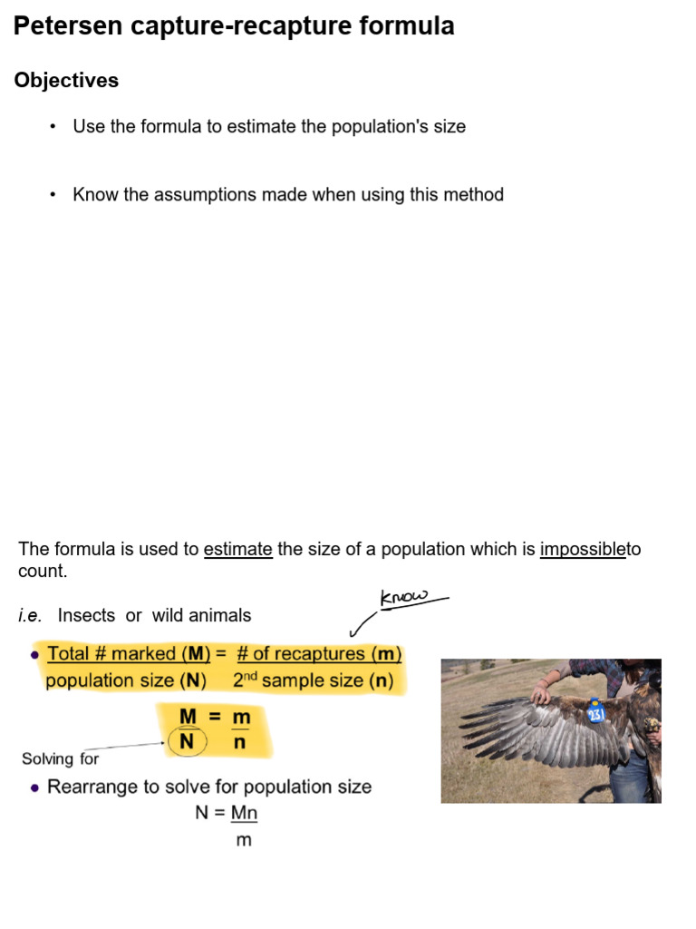 Chapter 1.5 - Petersen Capture - Recapture Method | PDF