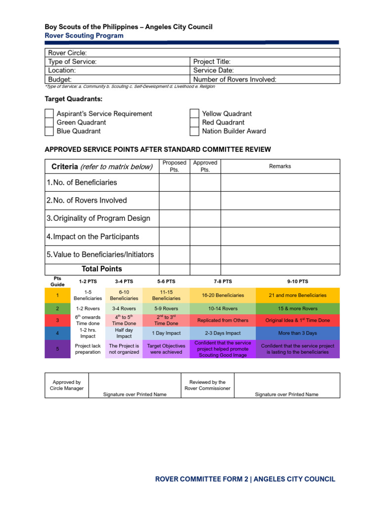 Project summary form pdf
