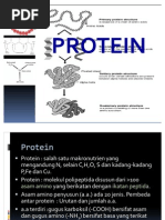 Download 5 Analisis Protein by Inggit Yunitasari SN77870945 doc pdf